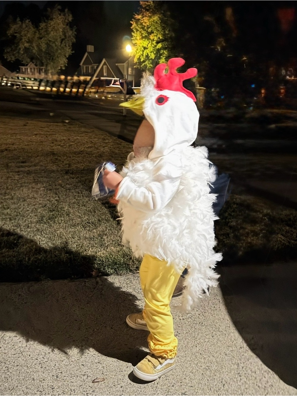 Kids Size 3T Handcrafted White Feather Chicken Costume